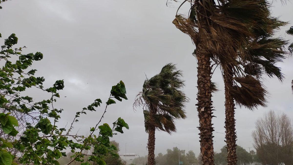 viento-sur